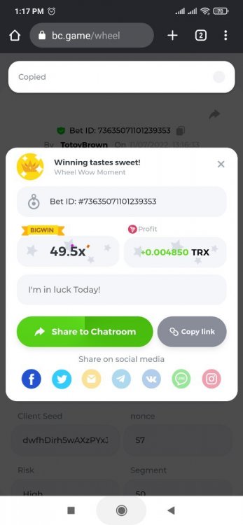 Screenshot_2022-07-11-13-17-17-212_com.android.chrome.jpg